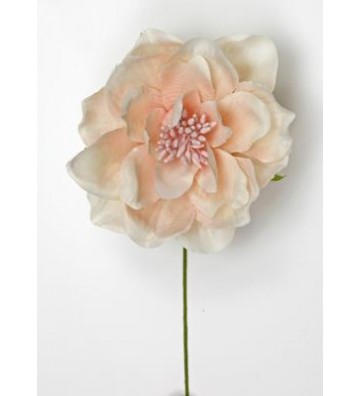 Peonia color Cipria - L2174/PK