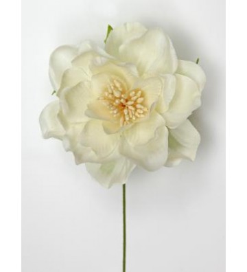 Peonia color Avorio - L2174/IV