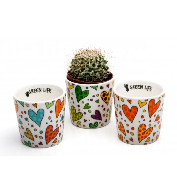 Portapiantine Green Life -...